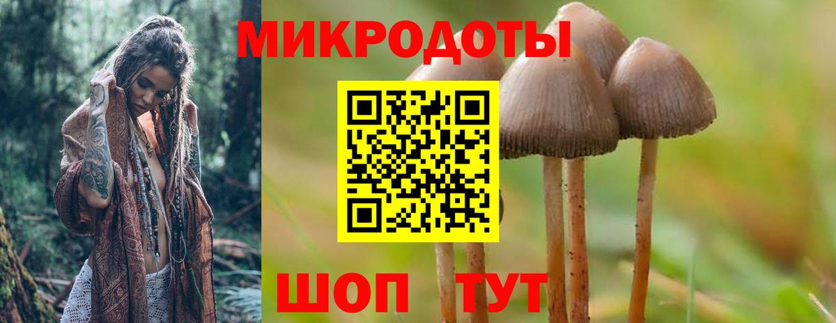 Галлюциногенные грибы GOLDEN TEACHER  где можно купить   Альметьевск  Вход с VPN 